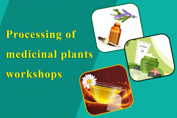 Processing of medicinal plants Training courses